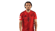 Come Fc Bayern Sticker by Bundesliga