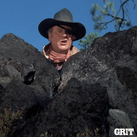 Rooster Cogburn What I'll Do