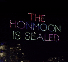 Lollapalooza Takedown GIF