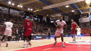 Liga Endesa Basketball GIF by ACB