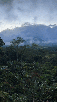 arnellelozada environment tropical landscape sunrise GIF