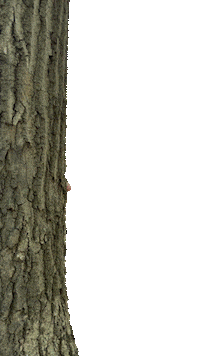 Pending Turn Around Sticker by Disc Golf Brah