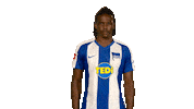 Happy Hertha Bsc Sticker by Bundesliga