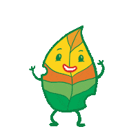 Fall Autumn Sticker