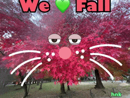 Fall Love GIF by KaoruHironaka