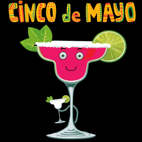 May 5Th Cinco De Mayo GIF by GT8Studios