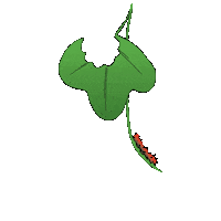Passiflora Sticker