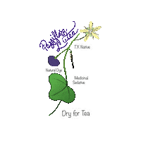 Passiflora Sticker