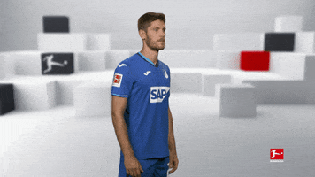 Posing Line Up GIF by Bundesliga