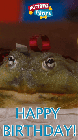 Windyisle giphyupload happy birthday frog sourdough GIF