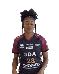 Handball Sticker by JDA Dijon Basket