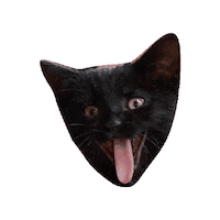 Happy Cat Sticker by Anne Horel