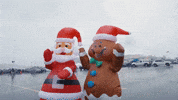Dance Football GIF by New England Patriots