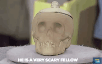 halloween skull GIF by ANTIQUES ROADSHOW | PBS