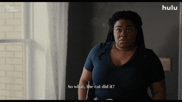 Cat GIF by HULU