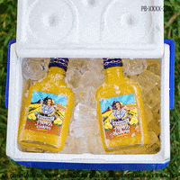 GIF by Quezalteca Oficial