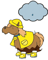 Rain Pony Sticker by Soulhorse.de