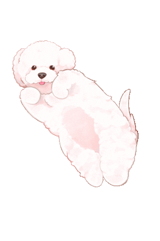 Bichon Frise Dog Sticker