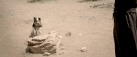 in a valley of violence GIF by FocusWorld