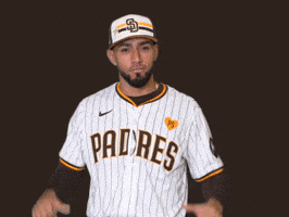 Very Bad No GIF by MLB