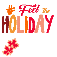jestrudo fts fth feeltheholiday feelthesalsa Sticker