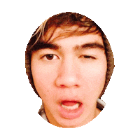 5 seconds of summer STICKER by imoji