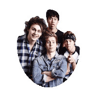5 seconds of summer STICKER by imoji