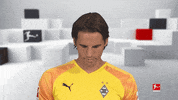 Happy Line Up GIF by Bundesliga