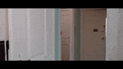 Alex Cdc GIF by Promenade