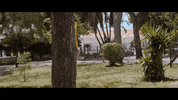 Banana Alex GIF by Promenade