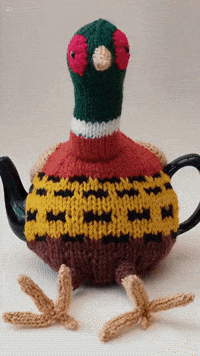 British Countryside Bird GIF by TeaCosyFolk