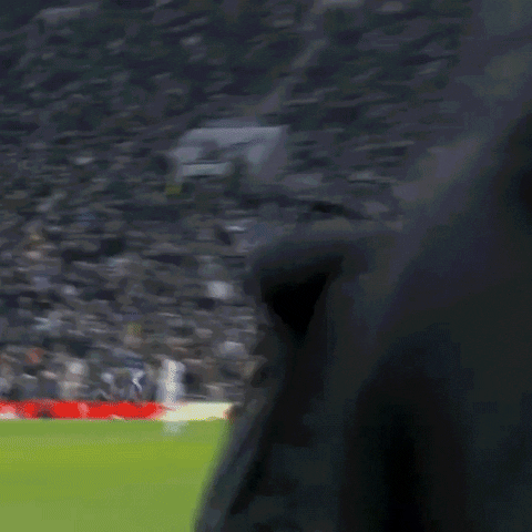 Unai Emery Football GIF by Aston Villa FC