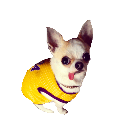dog gue Sticker