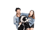 lalogilling dog swipe up dogs swipeup Sticker