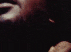 Bob Marley And The Wailers Reggae GIF by Bob Marley