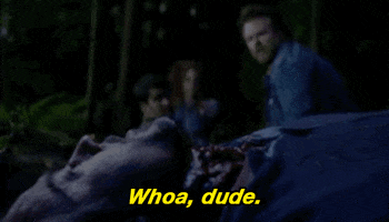 x files GIF by The X-Files