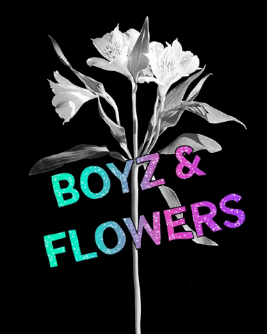 Boyzandflowers giphygifmaker flowers boyz boyzandflowers GIF