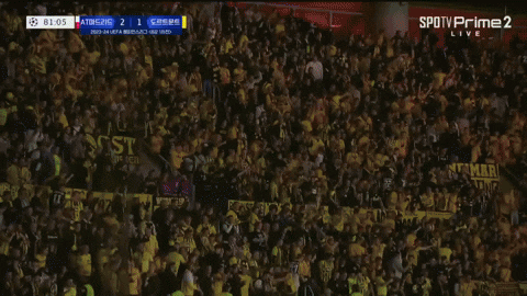 Davi4ever giphyupload GIF