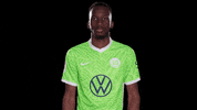 Hack My Life Reaction GIF by VfL Wolfsburg