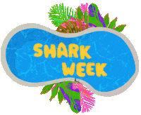 Shark Week Summer Sticker by Discovery