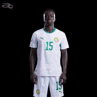 Fifa World Cup Caf GIF by Respective