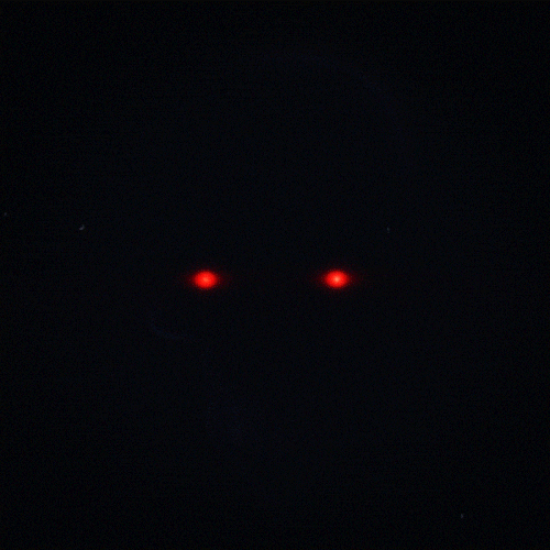 Halloween Glow GIF by Erica Anderson