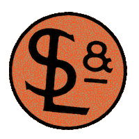 American Logo Sticker by slowandlow
