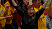 fans volleyball GIF by NDSU Athletics