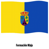 Castilla Y Leon Flag GIF by Formación Ninja