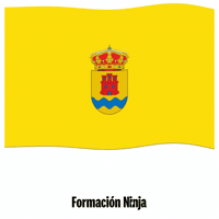 Comunidad De Madrid Bandera GIF by Formación Ninja