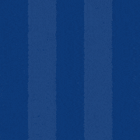 Football Soccer GIF by Odense Boldklub