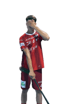 Unihockey Ritz Sticker