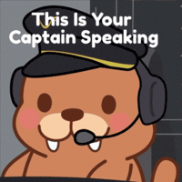 Plane Flying GIF by WagyuBrands