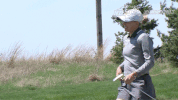 north dakota state bison GIF by NDSU Athletics